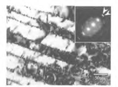 8 冷轧变形量为5%的 Ti49.sNi5D.2合金的透射电子显微观察明场像及对应的衍射谱