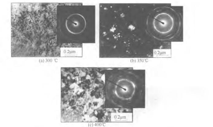 冷 轧 Ti5()Ni5a合金在不同温度退火后的透射电子显微像